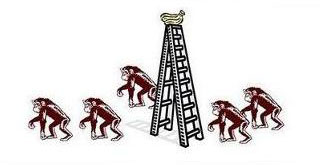7. 剩下來的5隻猴子，即便他們都沒有被潑灑過冷水，但還是會繼續攻擊想爬上梯子的猴子。