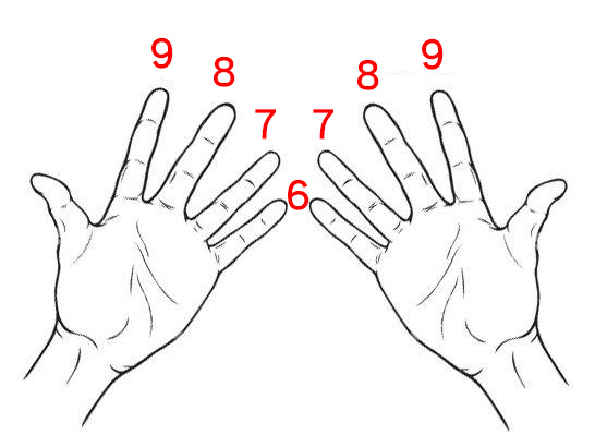 事情很簡單，食指是9、中指是8、無名指是7、小指是6，怎麼乘，就怎麼比。(像是9x9，就是食指對食指。)