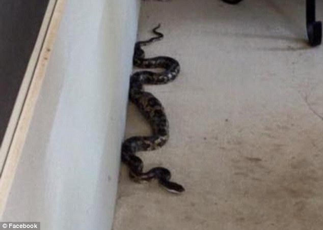 2928EDF200000578-3101416-image-m-17_1432852840125