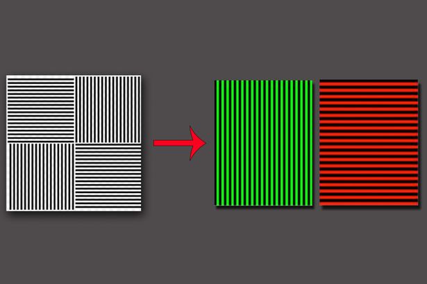 MAIN-Optical-Illusion