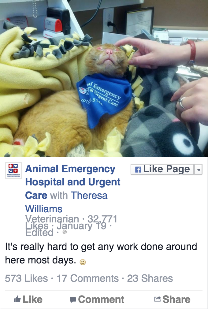 螢幕快照 2015-05-23 15.21.10