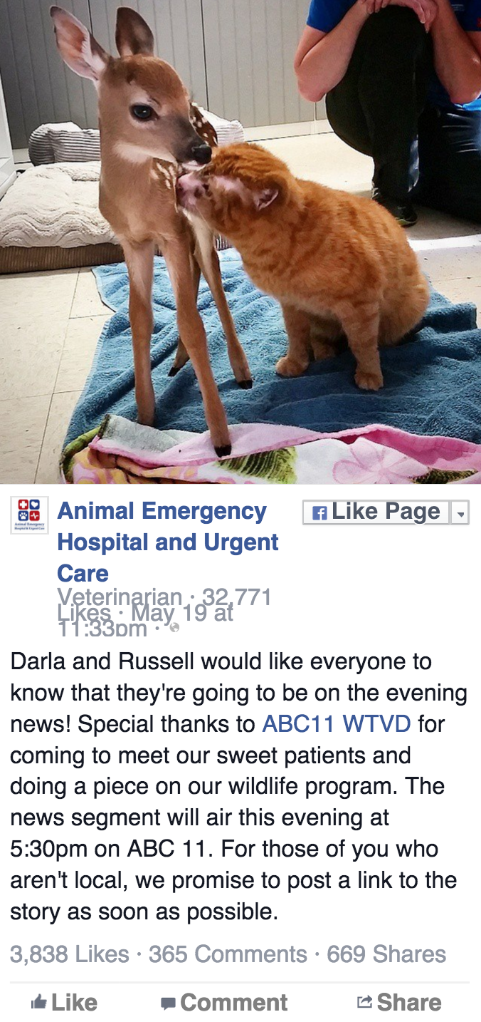 螢幕快照 2015-05-23 15.21.22