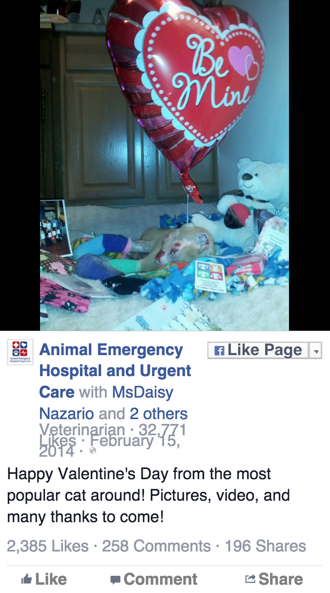 螢幕快照 2015-05-23 15.21.36