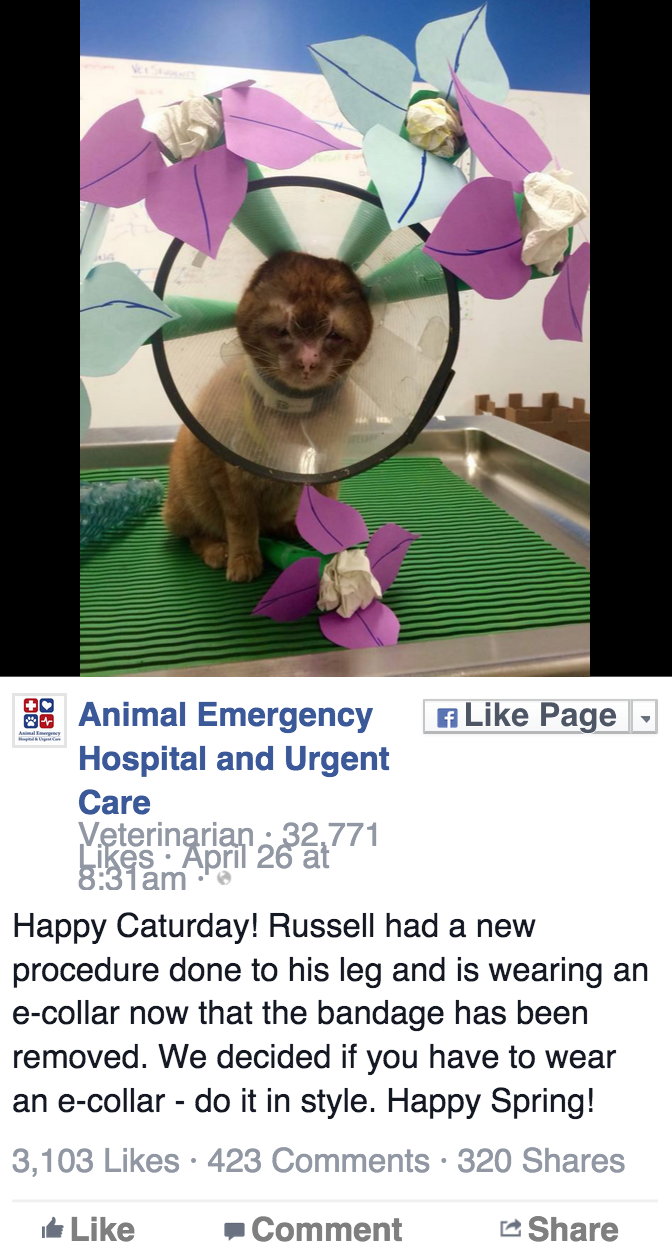 螢幕快照 2015-05-23 15.21.45