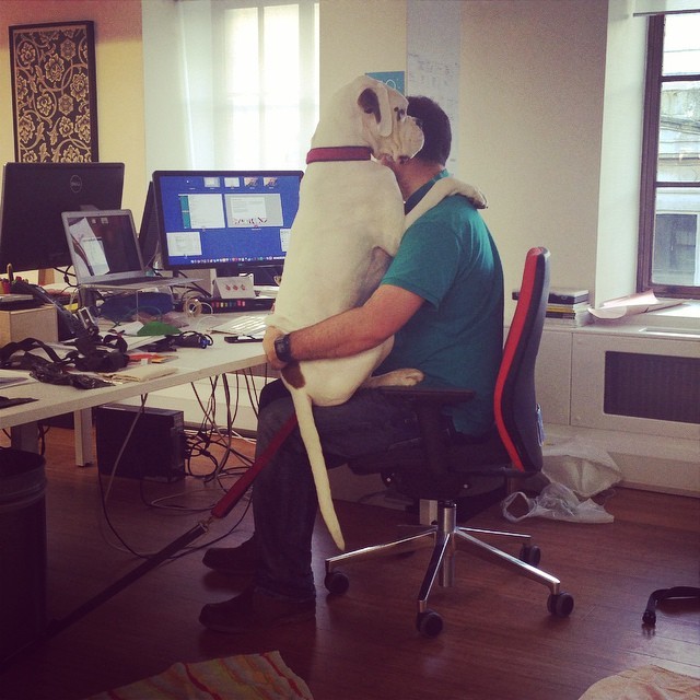 72860c7cb5a002be45fd87389b204c22d5274c7c1b4ee56df06529c7dba0f55d