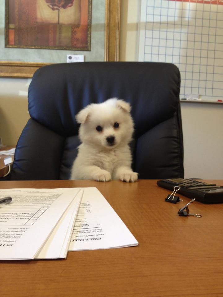 7b42e6509dc7a25daba164fe7af335561c3c0edee41592f60bb7cc4427ed2e69