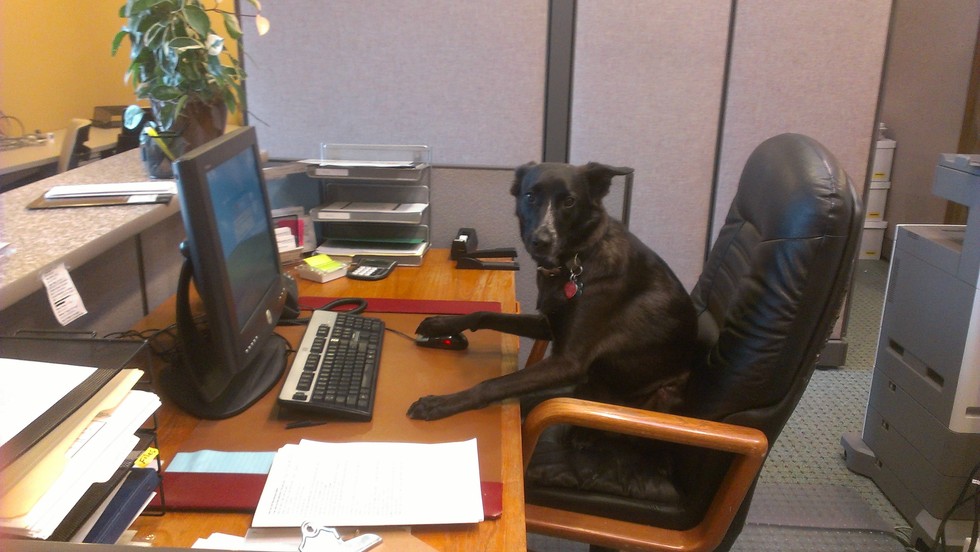 91d53c68258dea11758de42482ee4708506a532c317568256a4eb67d3ff99e7e