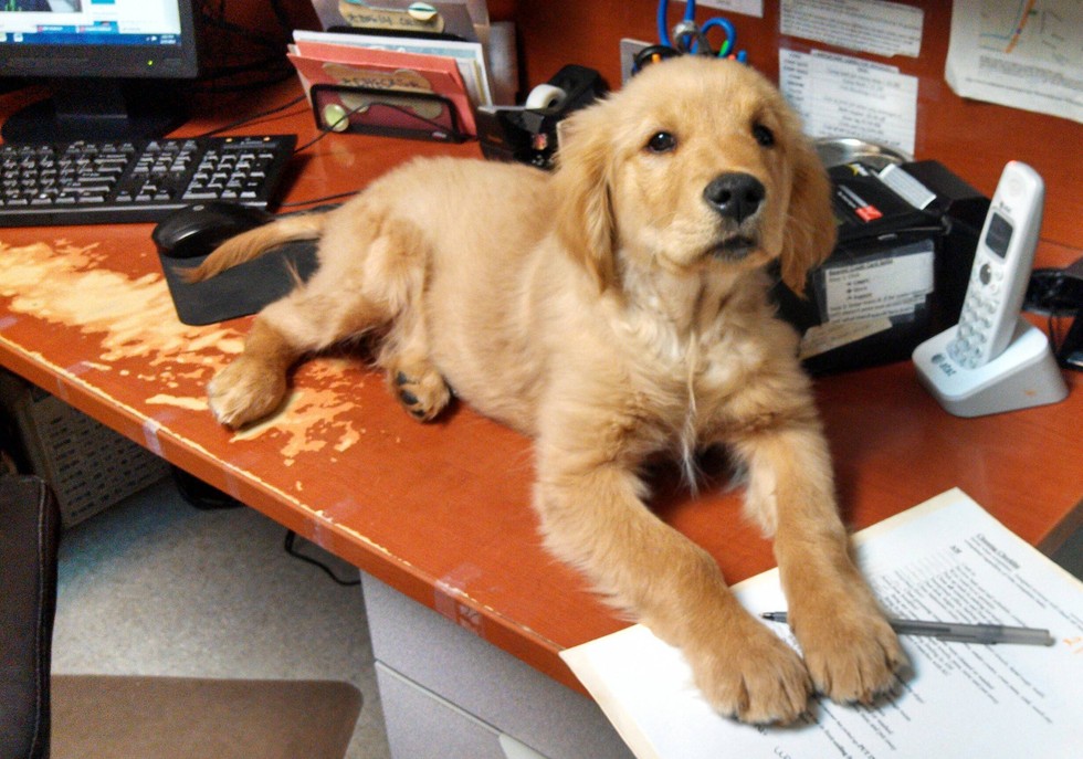 bb6c9ef633a6f96327ed083ecaf2b1a2d407344cb603f3241e471f606858a91a