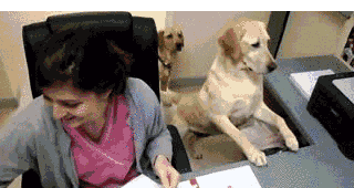 fbfa96080563c3f4470eae585f9540095f89bf08b40d2d04d6b1e44d79d16515