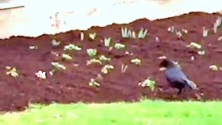 lifebuzz-004d3932340db2d62b99665f4211915f-original