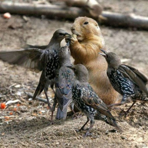 lifebuzz-11ea7e1c00554dfca19b0261677fab96-limit_2000