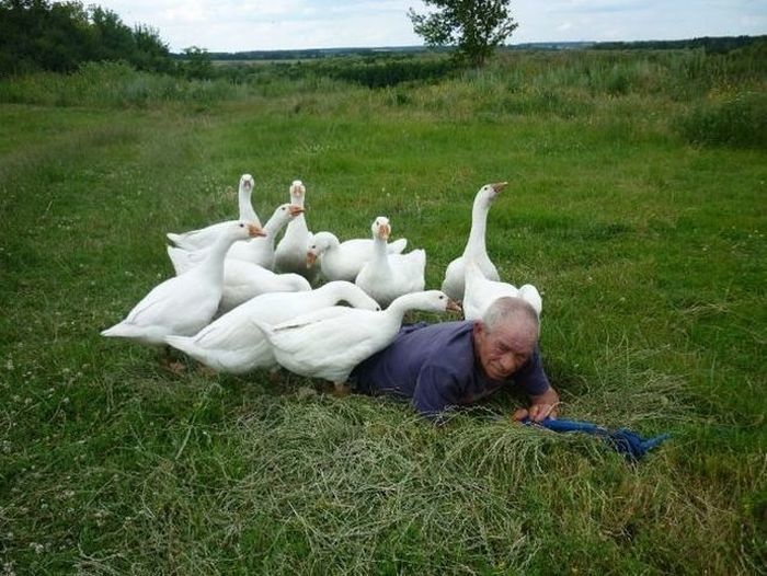 lifebuzz-4ca2e366f1b071f62e4b10d555c6ecc0-limit_2000