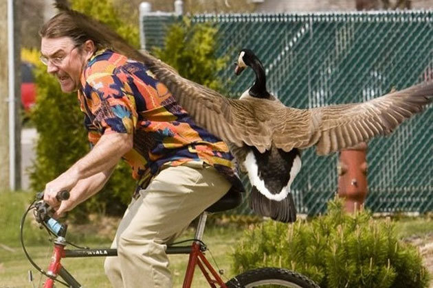 lifebuzz-7840daff0d73ffe1c3556d93150c1183-limit_2000