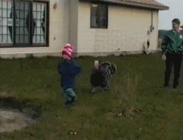 lifebuzz-84277418b0994bd4589539118b13a69f-original