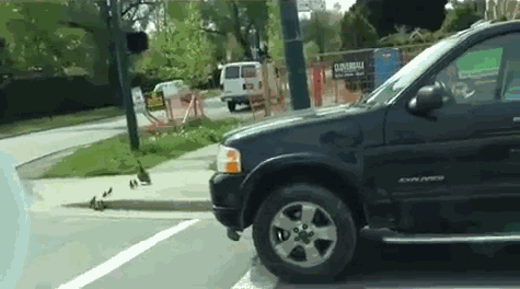 lifebuzz-92aded39cb3ab874e41cbbdd0f1a49e9-original