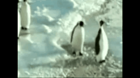 lifebuzz-9376c9af71424075d00f4f6cf85c388f-original