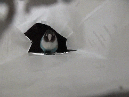 lifebuzz-99c1753214d041a0ffaf30e14f27f2ef-original