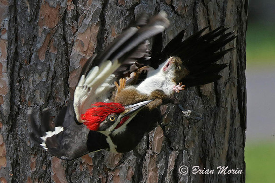 lifebuzz-b93c237ef8881f15944c1d2f1e8aba78-limit_2000