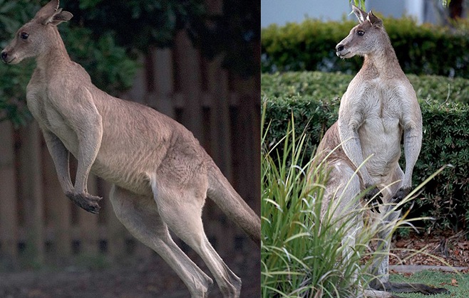 螢幕快照 2015-06-05 下午12.22.51