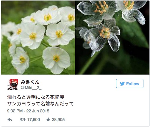 螢幕快照 2015-06-25 下午4.45.19