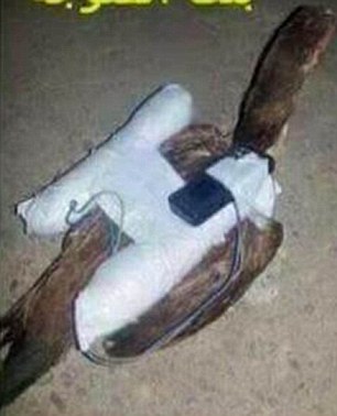 2AB0A40F00000578-3167978-image-m-9_1437383749613