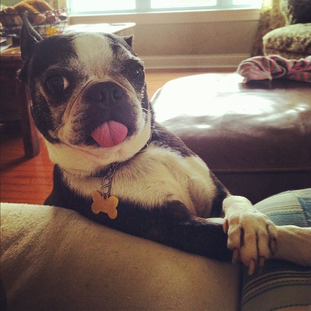 2b51d2567cc41f3721009e86d3a58c3d058ffdb76063e5283f8e677ad26ab98f