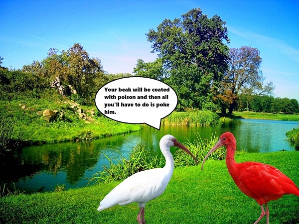 39e014a21882e2e4e5d17a6e7b215a1f7f2dd0b25d969425d295cd6a721ead08