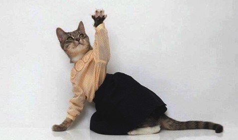 3ce58f98557baf79885540484da0ab7bc6ba61a94825dc7cf6c8faee870fa367