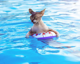 4f620a936fd1f2c8dd04d62ab93f999c1ca4169b9b870f15ab32e4bec5790360