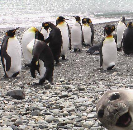 6f2dcbbb51542107d09ee0b7966a33df