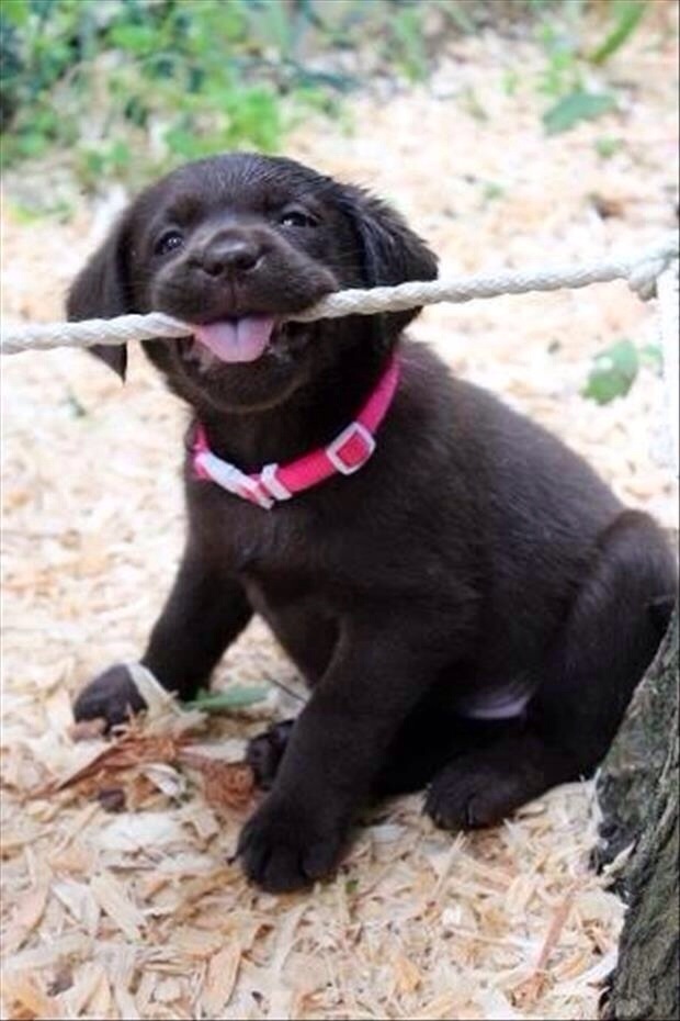 7f514bf72dee01cc246ed0dd74f3cbc5329622862ca45691e0e35ffc129f14dc