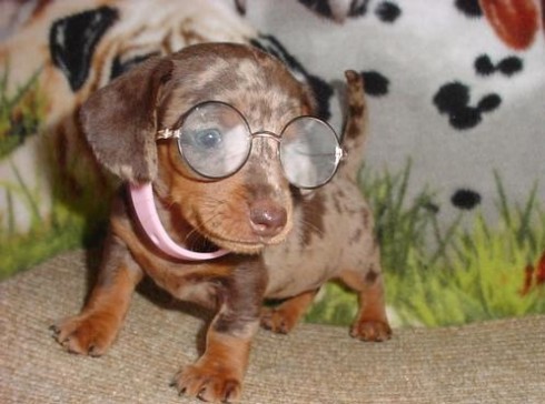 a969dcfd2b7691201d581ca87a8ddfa49787a3979db1cd026886ec33012b13a1