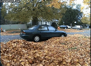 anigif_enhanced-buzz-1614-1438009870-5