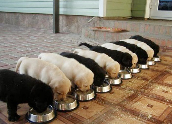 annoying-photos-ocd-13__605-1