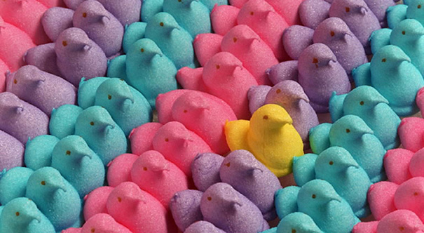 annoying-photos-ocd-32__605