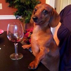 de4be6af3cf8d9751cdb63db4eb2f2c2c71cffbaad643fa7bd34b186b92dbdb9