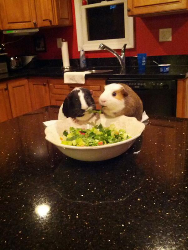 e8e7a555833ae0387037c3bcfe787b47e0e61995a8cc866b1b1da1d5bd0f7ea9