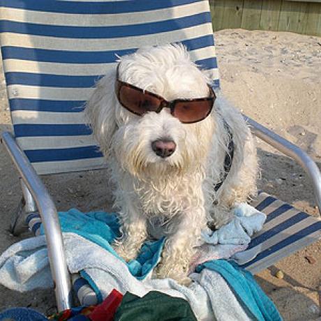 f54856b398323bf6c78923aef22940e386edeffec7c8565177835e36194230ae