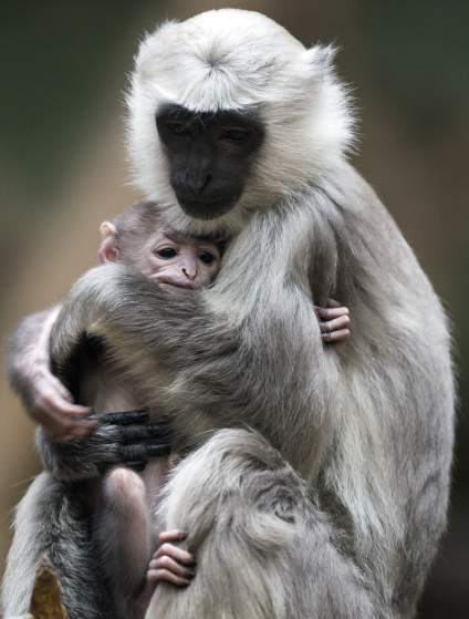 lifebuzz-0097a9a78eef47453d0c589bcbff8a58-limit_2000