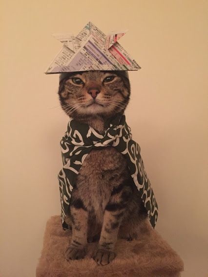 lifebuzz-0a3edbdc68ca2870ab14d7b89d37f6c3-limit_2000