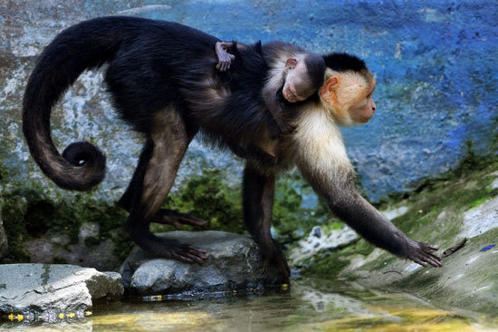 lifebuzz-443e6163fbe443dee59a93369a1215fe-limit_2000