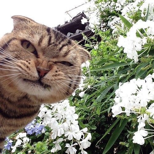 lifebuzz-531fb749b4fb49c9a9992cc559c66074-limit_2000