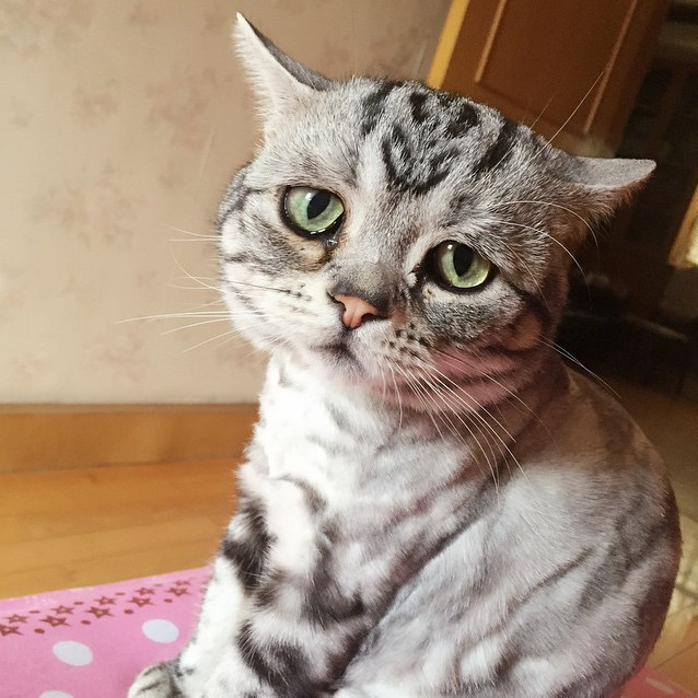 lifebuzz-5e8857ee3efffe4ef9e4e17a7f8ba306-limit_2000