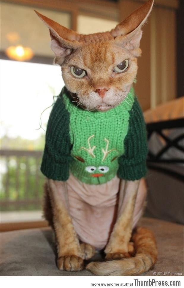 lifebuzz-610170eda7ee240620ebd3a4c8cba21b-limit_2000