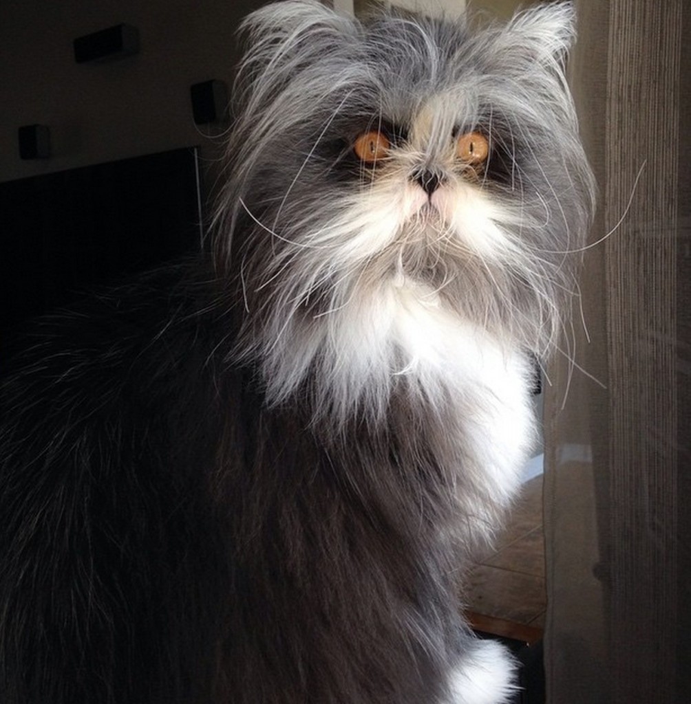 lifebuzz-899ec2b2bc82cbe37b0d94b059ac5794-limit_2000