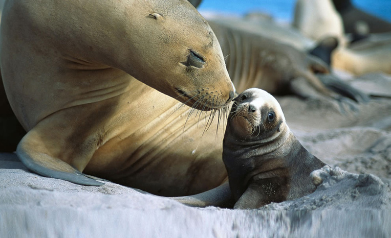 lifebuzz-a69e8a9c7eab26cfffdc3668c56a549d-limit_2000