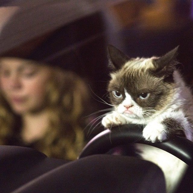 lifebuzz-b29c90d06745b87400eeaccea34a09a7-limit_2000