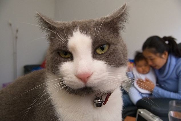 lifebuzz-cdd6a762cb13ae2a5cd3b64b93724486-limit_2000