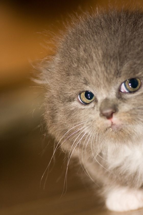 lifebuzz-fd43b5cda7d8e753d996137ec1f9885e-limit_2000