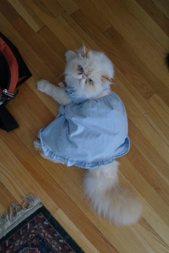 lifebuzz-ff1a5e3bb5fc7727ae23289f1405143b-limit_2000